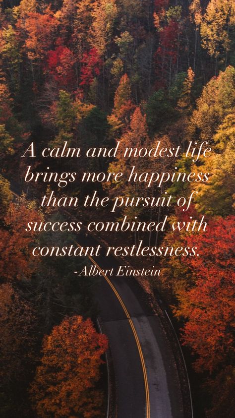 A calm and modest life brings more happiness than the pursuit of success combined with constant restlessness. -Albert Einstein From the Motivation app: https://motivation.app Sun Tan Removal, Snail Mask, Pixel Art Background, Motivation App, Tan Removal, Attraction Marketing, Funny As Hell, Left Alone, Sun Tan