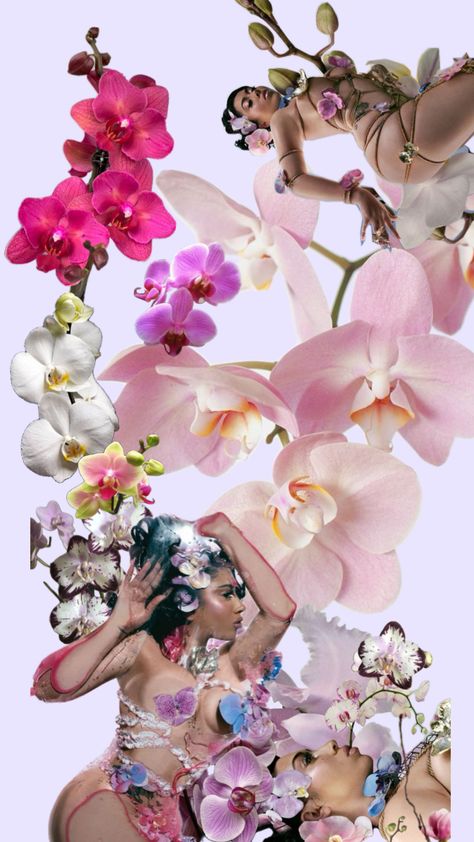 Orchid Wallpaper, Glamour Shoot, Mother Kali, Fall City, Tea Party Theme, Minimal Wallpaper, Kali Uchis, Iphone Wallpaper Photos, Art Collage Wall