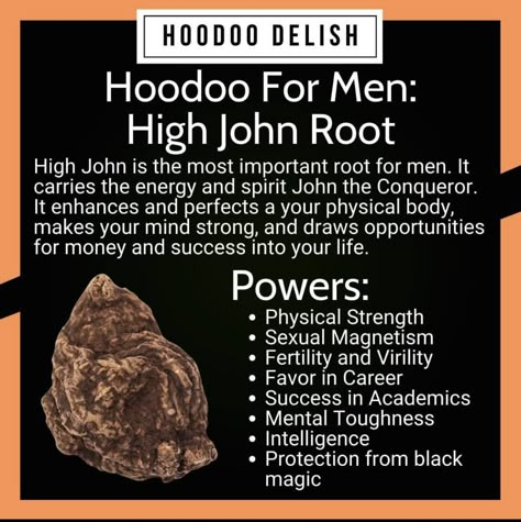 High John The Conqueror Root Uses, Hoodoo Shoe Spells, High John The Conqueror Root, Hoodoo Delish, Spiritual Herbs, Magical Herbs Witchcraft, Spell Ideas, Occult Knowledge, Wicca Recipes