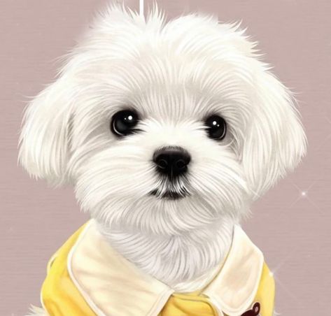 Popcorn Painting, Maltese Illustration, Emotional Illustration, Snowy Painting, Background Screensavers, Shopping Bag Design, Engraving Printing, Puppy Art, 강아지 그림