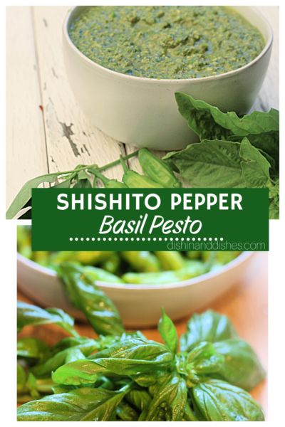 Canning Shishito Peppers, Recipes With Shishito Peppers, Preserving Shishito Peppers, Shishito Peppers Sauce, Shishito Peppers Recipe, Shishito Pepper Recipe, Shishito Pepper, Basil Pesto Recipe, Shishito Peppers