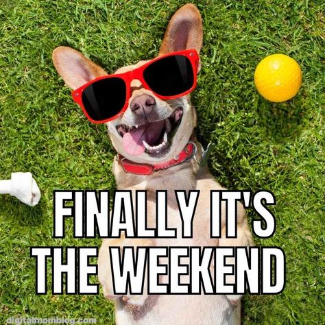 finally its the weekend meme Happy Weekend Meme, Weekend Memes Funny, Resell Business, Pet Passing, Weekend Meme, Saturday Memes, Weekend Funny, Meme Names, Funny Weekend