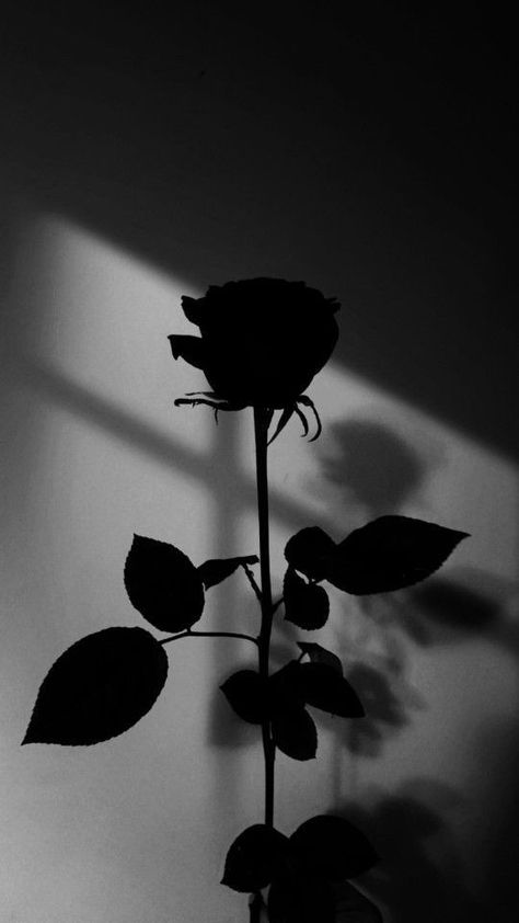 Wallpaper Aesthetic Laptop, Seni Korea, Black Roses Wallpaper, Aesthetic Laptop, Dark Black Wallpaper, Black Wallpaper Iphone Dark, Fantasy Wall Art, Simple Phone Wallpapers, Nothing But Flowers