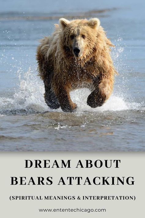 Bear Attacking, Bear Meaning, Bear Spirit Animal, Symbol Of Courage, Bear Fishing, Angry Bear, Moon Bear, Bear Attack, Fierce Animals