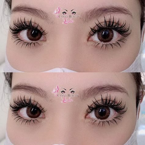 Sunflower Lash Extensions, Volume Anime Lash Extensions, Canny Beauty Lashes, Anime Set Lashes, Sunflower Lashes, Top And Bottom Lash Extensions, Anime Eyelash Extensions, Anime Lash Extensions, Anime Sunflower