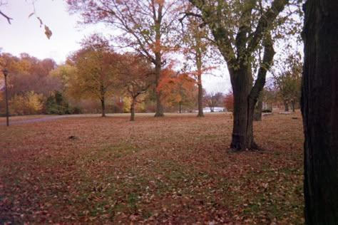 A photo taken on a disposable camera of a park in fall Fall 2011 Aesthetic, Halloween Disposable Photos, Fall Camera Aesthetic, Autumn In Film, Fall Digital Camera, 2000s Fall, Fall Digital Camera Pics, Disposable Camera Effect Iphone, Aesthetic Disposable Camera Photos