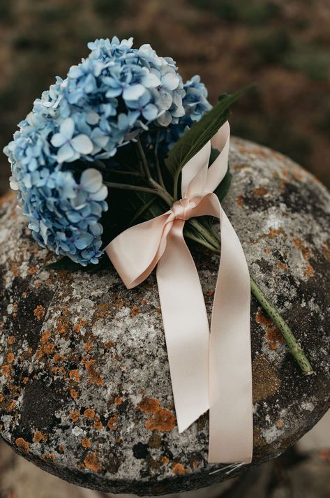 Blue Hydrangea Wedding Bouquet Tied with Blush Ribbon | By Sarah Rook Photography | Rustic Wedding | Marquee Wedding | Wildflowers for Wedding | Church Ceremony | Classic Wedding | Wedding Flowers | Wedding Bouquet | Bridesmaid Bouquet Bride Bouquet Hydrangea, Single Stem Hydrangea Bouquet, Boho Hydrangea Bouquet, Bouquet Hydrangea Blue, Blue Hydrangea Bridesmaid Bouquet, Wedding Pressed Flowers, Hydrangea Decoration Wedding, Hortensia Wedding, Blue Hydrangea Wedding Bouquet