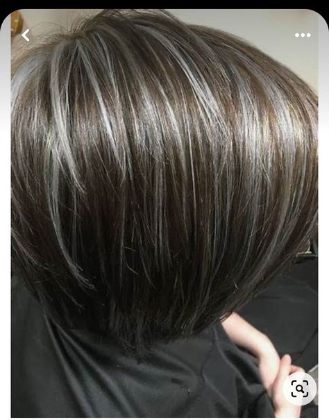 Brown To Gray Transition, Gray Ash Brown Hair Balayage, Gray Hair Brown Lowlights, Short Brown Hair With Gray Highlights, Silver Streaks In Blonde Hair, Mushroom Brown And Grey Hair, Gray Highlights Dark Hair, Chocolate Granite Hair Color, Letting Grey Hair Grow Out