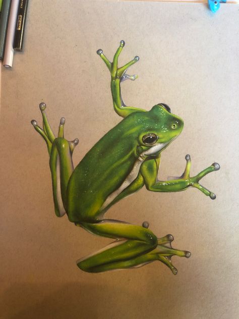 Green Tree Frog, Frog Drawing, Painting Words, Funny Frogs, Frog Art, Green Frog, Forest Friends, Marker Art, Society6 Art