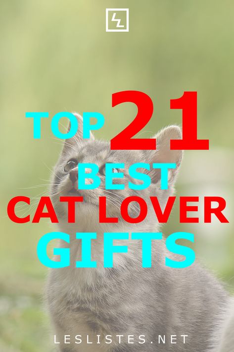 Cat lovers are a very particular kind of people. With that in mind, check out the top 21 gifts for the cat lover in your family. #cat #catlovers Cat Gifts For People, Yankee Swap Gift, Cat Lovers Gifts, Ragdoll Kittens For Sale, Homemade Gifts For Boyfriend, Cat Portrait Painting, Inexpensive Christmas Gifts, Ragdoll Kittens, Inexpensive Christmas