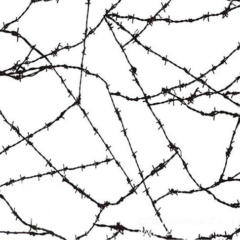 Barbed Wire Background, Drain Png, Barbed Wire Aesthetic, Barbed Wire Drawing, Barbed Wire Design, Punk Zine, Flower Stencil Patterns, King Chess Piece, Wire Spider