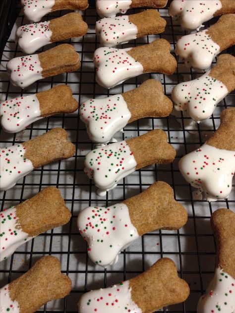 Homemade dog treats Dog Treats With Frosting, Dog Treat Icing, Diy Dog Donut Treat, Dog Treat Design Ideas, Diy Dog Treat Icing, Homemade Dog Treats Using Silicone Mold, Christmas Dog Treats, Dog Treats Homemade Easy, Pet Treats Recipes