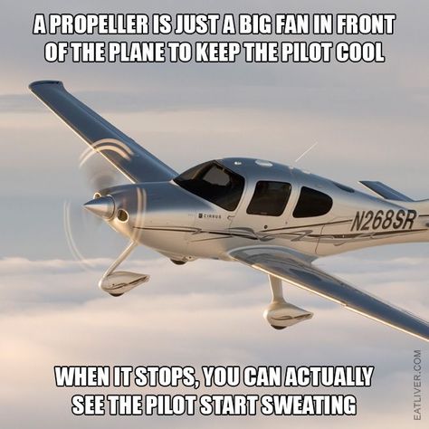 A propeller is just a big fan in front of the plane to keep the pilot cool. When it stops, you can actually see the pilot start sweating. Plane Memes, Pilot Humor, Airplane Humor, Military Jokes, Pilot Quotes, Funny Pilot, Aviation Humor, Super Funny Memes, Great Memes