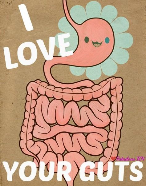 Mucus in your colon! Gut Drawing, Dietitian Humor, Gut Feelings, Nursing Fun, Healthcare Humor, Nurse Rock, Nursing Memes, Comic Manga, I Love Your