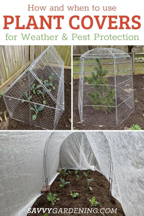 Vegetable Garden Protection, Cabbage Plant Covers, Garden Mesh Cover, Tomato Covers Garden, Plant Netting Ideas, Bug Netting Over Garden, Garden Critter Protection, Protecting Vegetable Garden From Animals, Protect Tomato Plants From Animals