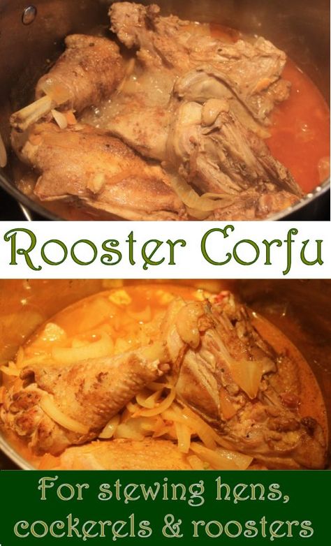 Stewing Hen Recipes, Rooster Recipes, Egg Soup Recipe, Goat Stew, Farm Cooking, Pot Food, Chicken Tractor, Stew Chicken Recipe, Chicken Recipies