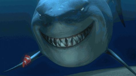 Nemo Bruce, Ocean Gif, Sharks Scary, Finding Nemo 2003, Disney Gifs, Film Disney, Disney Animals, Pixar Movies, Great White Shark