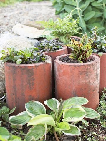 Recycle flea-market finds, wooden boxes, garden accessories, kitchen bowls and more into fun container gardens. Garden Container Ideas, Indoor Gardening Supplies, Clay Pipe, Garden Container, Container Garden Design, Drainage Pipe, Container Ideas, Green Recipes, Raised Garden Beds Diy