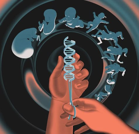 Human Experiment Aesthetic, Biotechnology Art, Flow Chart Design, Genetic Counseling, Gene Editing, Human Embryo, Genetic Diseases, Nurse Inspiration, Human Genome