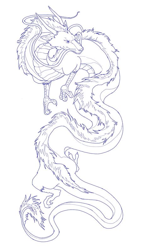 Haku Dragon Tattoo Stencil, Chinese Dragon Tattoo Stencil, Haku Dragon Tattoo, Dragon Stencil, Dragon Tattoo Outline, Chinese Dragon Tattoo, Traditional Japanese Dragon, Dragon Tattoo Stencil, Chinese Dragon Drawing