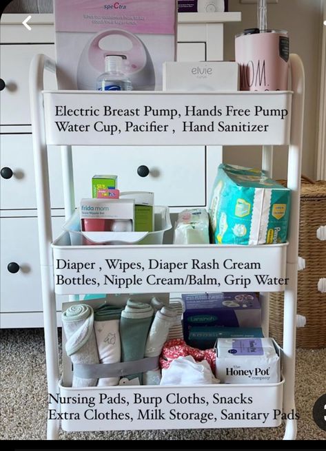 Postpartum Bathroom Station, Postpartum Bathroom, Diaper Rash Cream, Milk Storage, Electric Breast Pump, Pregnancy Food, Nursing Pads, Sanitary Pads, Honey Pot