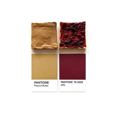 em on Instagram: “starting the day right peanut butter and jelly no better duo” Peanut Butter Color Palette, Pantone Colour Palettes, Peanut Butter And Jelly, Peanut Butter Jelly, Best Duos, Color Crush, Start The Day, Pantone Color, Peanut Butter