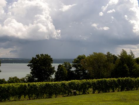 Seneca Falls, Cayuga Lake, Erie Canal, Lake Day, Lake Trip, Types Of Wine, Finger Lakes, Historical Monuments, Eastern Shore