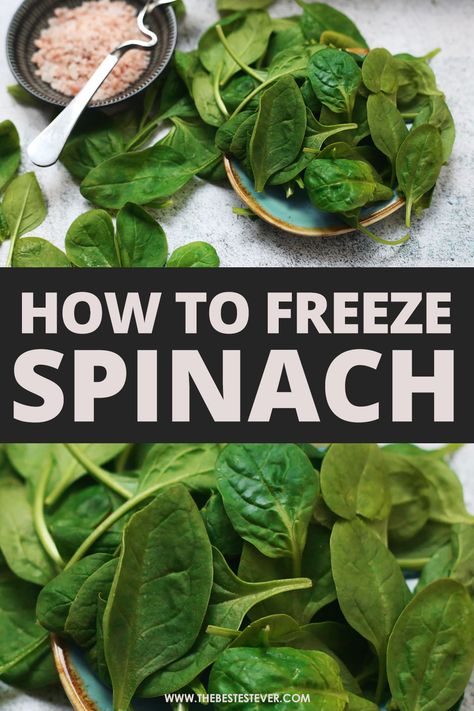 How To Freeze Spinach Leaves, Can You Freeze Spinach, Freeze Fresh Spinach, What To Do With Spinach Leaves, Preserving Spinach, Preserving Fresh Spinach, Canning Spinach, Freeze Spinach, How To Preserve Spinach