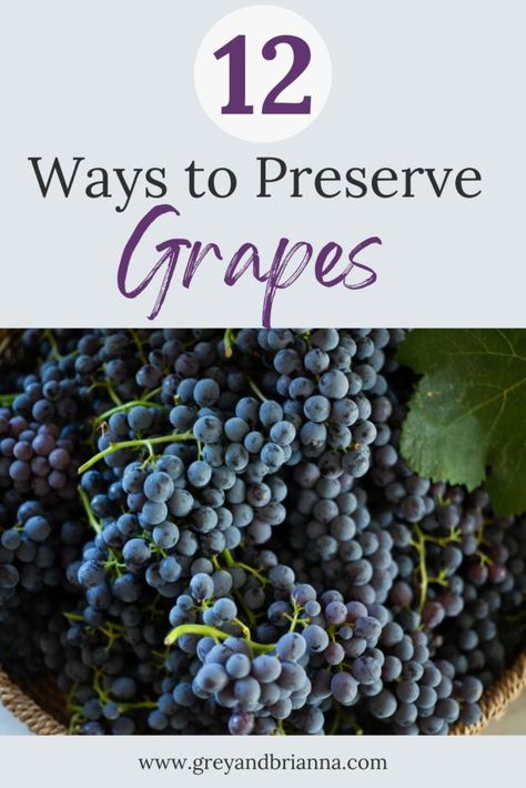 Preserve Grapes, Concord Grape Wine Recipe, Can You Freeze Grapes, City Homestead, Concord Grape Recipes, Grape Jam Recipe, Homemade Grape Juice, Grape Juice Recipe, Catawba Grapes