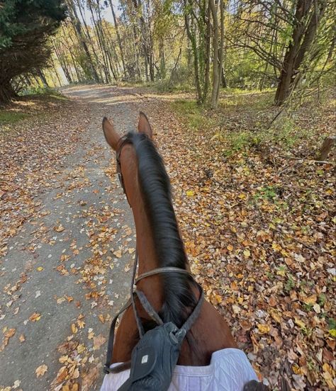 Horse Riding Vacations, Fall Horse Riding, Fall Horse Aesthetic, Horse Riding Pictures, Aesthetic With Friends, Pics To Recreate, Riding Aesthetic, Fall Aesthetic Pictures, Aesthetic Picture Ideas