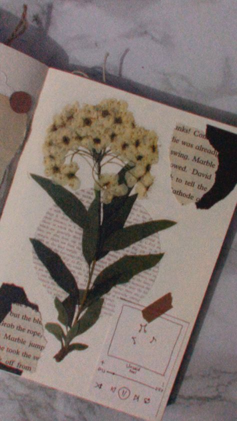 Herbarium Book Ideas, Herbarium Aesthetic, Ballet Journal, Vintage Diary, Art Journal Resources, Notebook Cover Design, Collage Book, Scrapbook Flowers, Plant Book