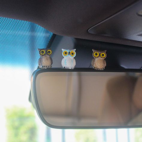 PRICES MAY VARY. Cute Design: This set of 6 resin mini owls is a cute car accessory that can be used for various purposes such as car decor, dashboard decorations, and desk decorations. With their exquisite appearance and attention to detail, they are highly sought-after cute car accessories Versatile Use: These mini owls serve multiple purposes, including being used as dashboard decorations and cute car decor. You can place them on your dashboard or hang them on your rearview mirror to add a to