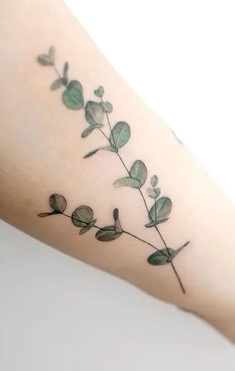 Fern And Eucalyptus Tattoo, Eucalyptus Arm Wrap Tattoo, Eucalyptus Tattoo Design, Eucalyptus Tattoos, Alocasia Tattoo, Eucalyptus Tattoo, Lavender Tattoos, Herb Tattoo, Blatt Tattoos