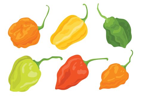 Habanero Vector Icons Chile Habanero, Graphic Design 101, Fruit Names, Taco Shop, Vector Icons, Chile, Vector Art, Vector Free, Royalty Free