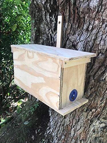 Bee Hive Stand, Honey Bee Swarm, Honey Bees Keeping, Bee Hives Diy, Hive Stand, Bee Hives Boxes, Carpenter Bee Trap, Bee Traps, Bee Hive Plans