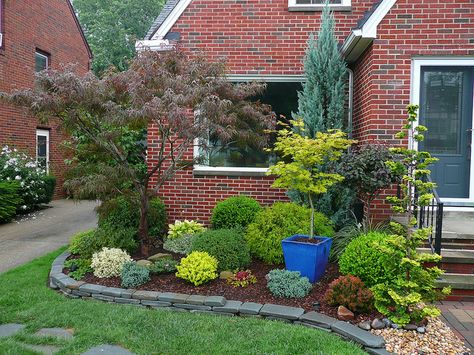 Japanese Maple GardenAcer shirasawanum 'Autumn Moon' summer color (Fullmoon… Mixed Conifer Garden, Landscape Ideas Front Yard Red Brick House, Front Landscaping With Pots, Landscaping For Red Brick House, Red Brick House Landscaping Front Yards, Japanese Maple Tree Landscape Front Yards Flower Beds, Red Brick House Landscaping, Japanese Maple Garden, Conifer Garden