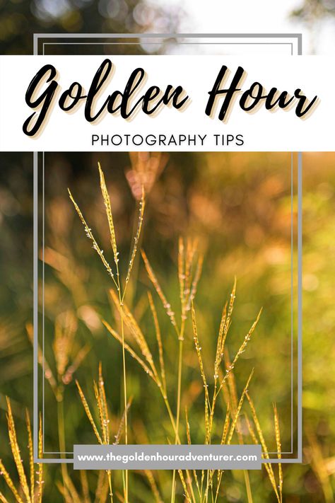 Golden Hour Photography Tips Best Camera Settings For Golden Hour, Golden Hour Photoshoot Outfit, Mobile Phone Photography, Photography Wildlife, Golden Hour Photos, Golden Hour Photography, Wedding Photography Business, The Golden Hour, After Six