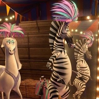 Marty Madagascar, Madagascar Circus, Madagascar Movie, Madagascar 1, Hotel Transylvania 2, Animal Print Background, 2012 Movie, Childhood Movies, Hotel Transylvania