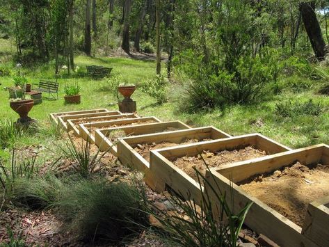 Steps For Steep Slopes, Landscape On A Hill, Steep Slope Landscaping, Sloped Backyard Ideas, Backyard Hill, Hillside Gardens, Outdoor Staircase, Steep Gardens, Landscape Stairs