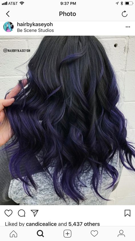 Purple Balayage Black Hair, Hair Dye Ideas Dark, Dark Blue Purple Hair, Deep Purple Balayage, Dark Purple Balayage, Curly Hair Dye Ideas, Curly Hair Dye, Balayage Black Hair, Balayage Black