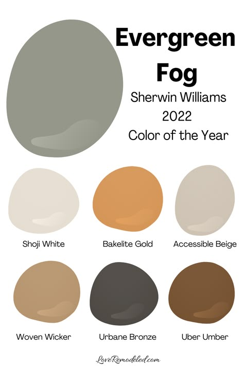 Evergreen Fog Sherwin Williams Paint Palette Colors That Go With Evergreen Fog Sherwin Williams, Evergreen Fog Pairings, Sherwin Williams Paint Color Palettes, Color Palette Evergreen Fog, Colors To Go With Evergreen Fog, Earthy Paint Color Palette, Evergreen Fog Sherwin Williams Living Room, Sherwin Williams Evergreen Fog Palette, Evergreen Fog Paint Palette