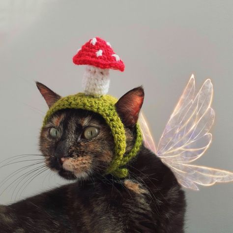 Crochet Mushroom Hat, Mushroom Costume, Crochet Cat Hat, Mushroom Hat, Crochet Mushroom, Small Crochet, Cat Flowers, Cat Hat, Halloween 2024