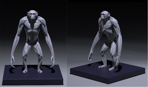 Jun's Anatomy: Human & Great Apes anatomy models by Jun Huang — Kickstarter