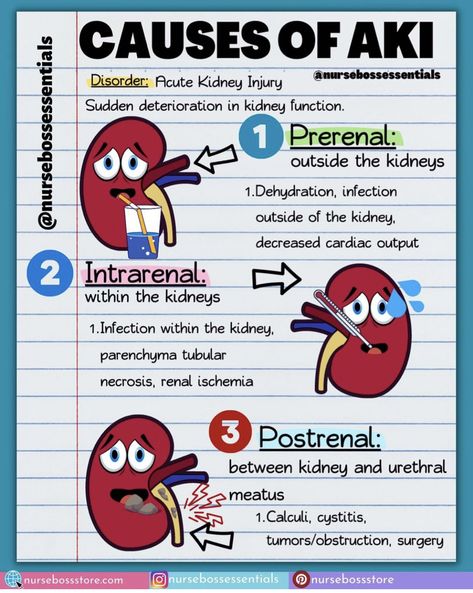 Nursing Mnemonics Med Surg, Renal System Nursing, Nursing School Studying Cheat Sheets, Nurse Skills, Np School, Medical Assistant Student, Paramedic School, Nurse Practitioner School, Nursing School Essential