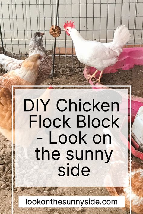 Flock Block, Chicken Flock, Black Oil Sunflower Seeds, Chicken Treats, Mini Bundt Cakes, Diy Chicken, Bundt Cake Pan, Diy Blocks, Muffin Pans