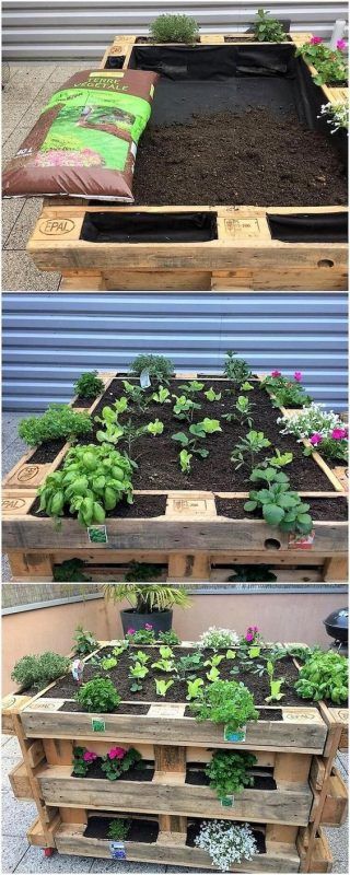 Pallet Garden Ideas Diy, Palette Garden, Wood Pallet Planters, Herb Garden Pallet, Vertical Vegetable Gardens, Outdoor Herb Garden, Herb Garden Design, Pallet Planter, Potager Garden