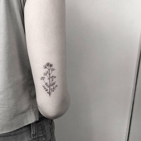 Minimalist dry flowers on the back of the right arm. Tattoo Back Of Arm, Back Of Arm Tattoo, Tattoo Back, Flower Tattoo Back, Flower Tattoo Shoulder, Flower Tattoo Arm, 4 Tattoo, Flower Tattoo Sleeve, Tattoo Script