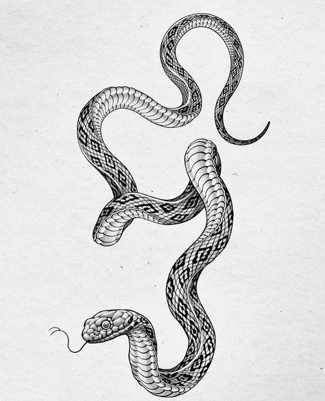 Snake Outline, Snake Painting, Cobra Tattoo, 16 Tattoo, Snake Illustration, Tattoo Dotwork, Snake Drawing, Back Piece Tattoo, Tattoo Background