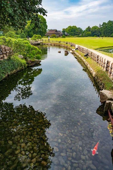 Garden Event, Rest House, Japanese Gardens, Okayama, Running Water, Beer Garden, Cherry Tree, Light Summer, Summer Beauty