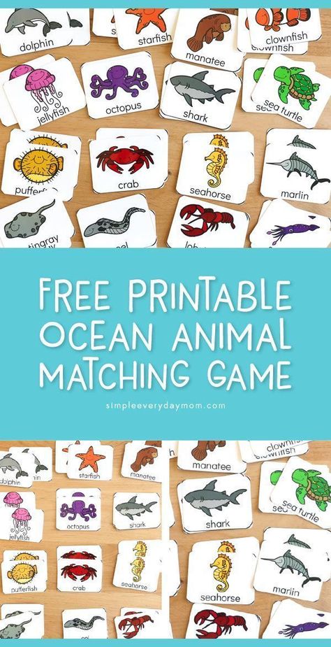 Free Printable Ocean Matching Game For Kids | Supplement your under the sea unit studies with this fun ocean animal matching game. It's great for preschool, kindergarten and first grade homeschool or classroom students.    #earlychildhood #kidsactivities #childrenplay #kids #kidsandparenting #kindergarten #firstgrade #ocean #kidsgames #preschool Printable Matching Game, First Grade Homeschool, Ocean Animals Preschool, Ocean Activities Preschool, Prek Science, Game For Preschoolers, Animal Matching Game, Ocean Theme Preschool, Sea Activities